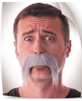 Moustaché kéké grise