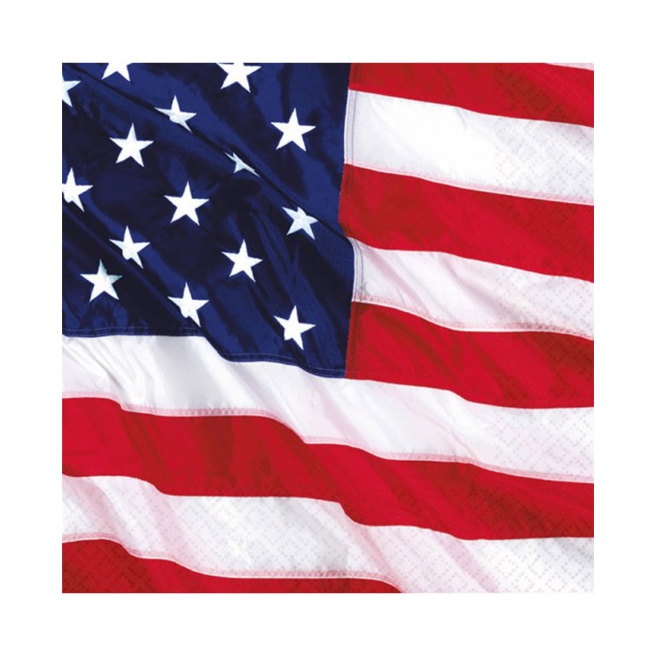 Serviettes USA x16