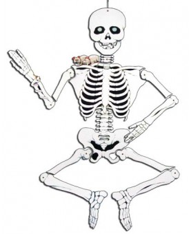 Squelette carton 140 cm