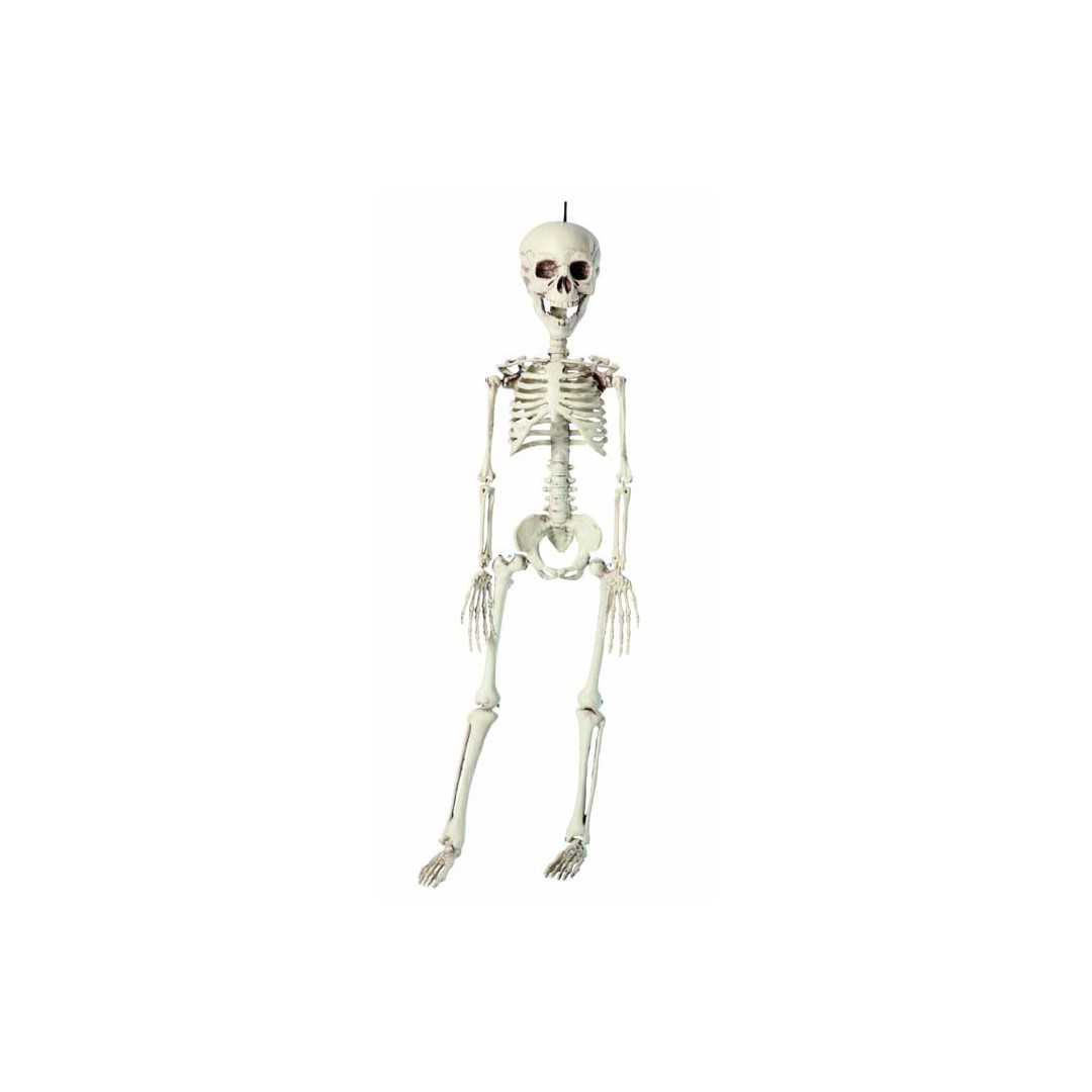 Squelette plastique 76 cm