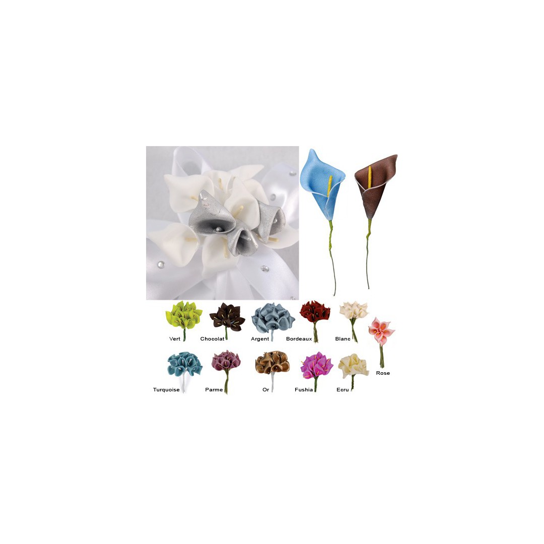 Fleurs - Arums x12