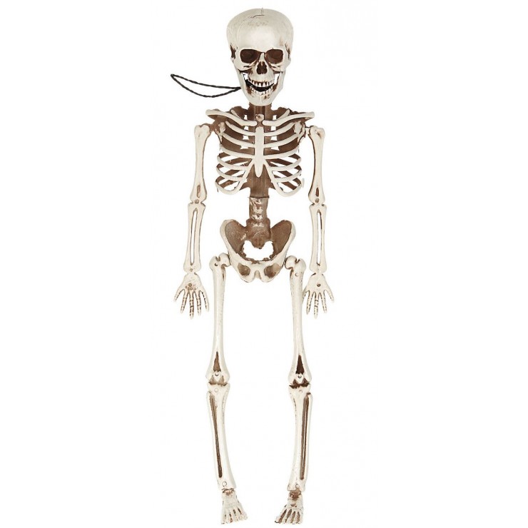 Squelette articulé 40 cm