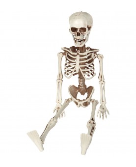 Squelette articulé 40 cm