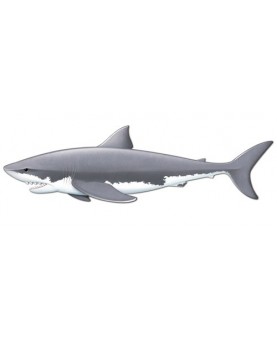 Décoration requin 1.80 m.
