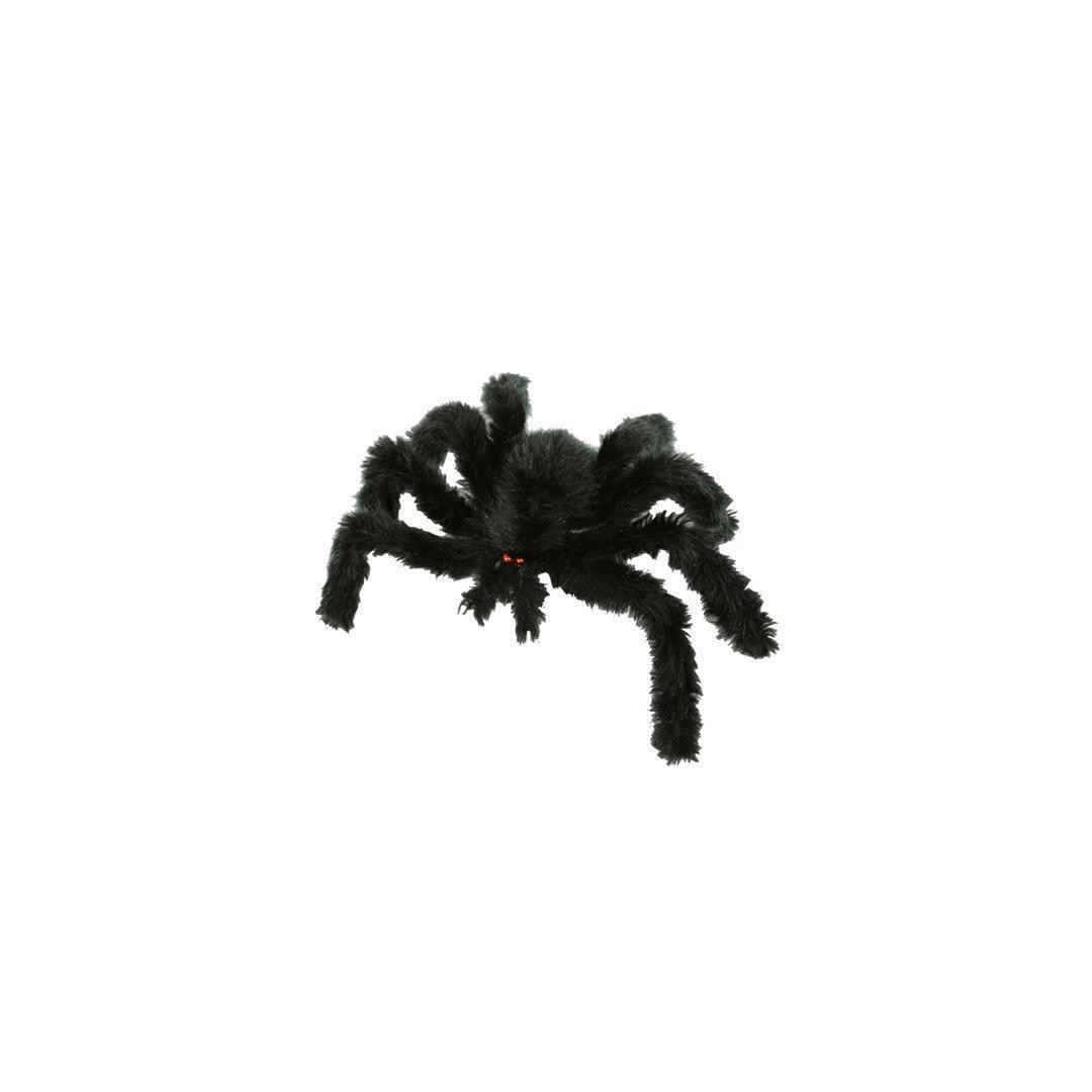 Araignée noire 30 cm