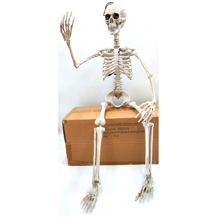 Squelette articulé 90 cm