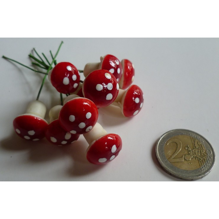 Petit champignon