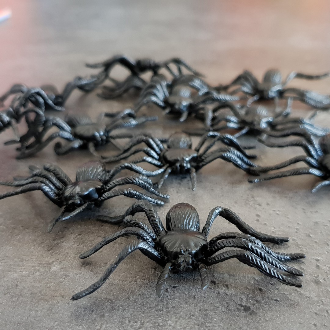 12 araignées noires 7 cm