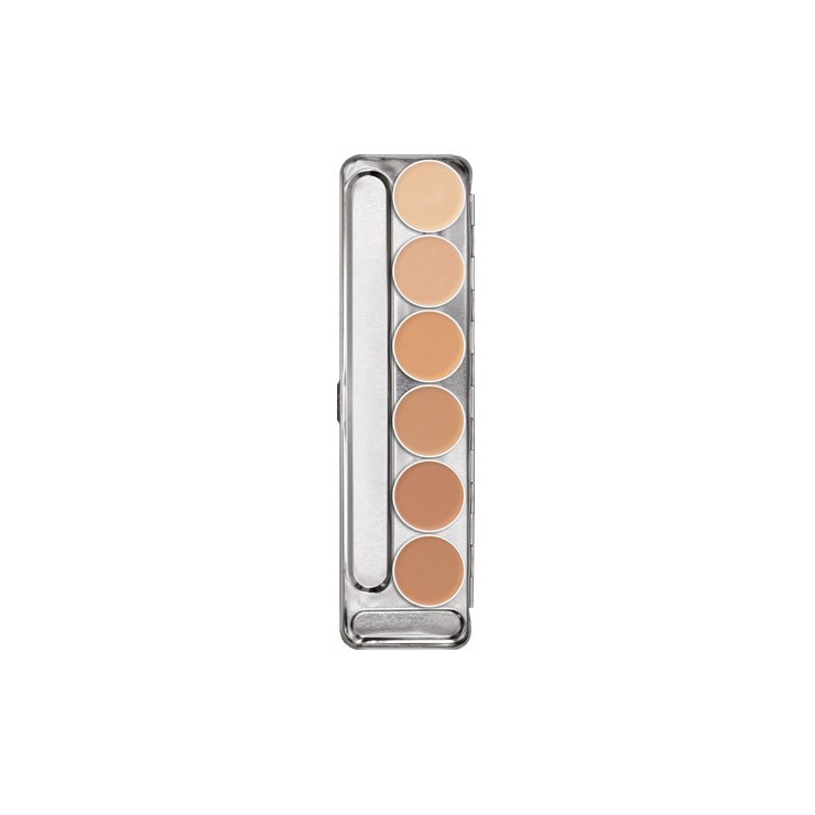 Palette 6 couleurs Dermacolor