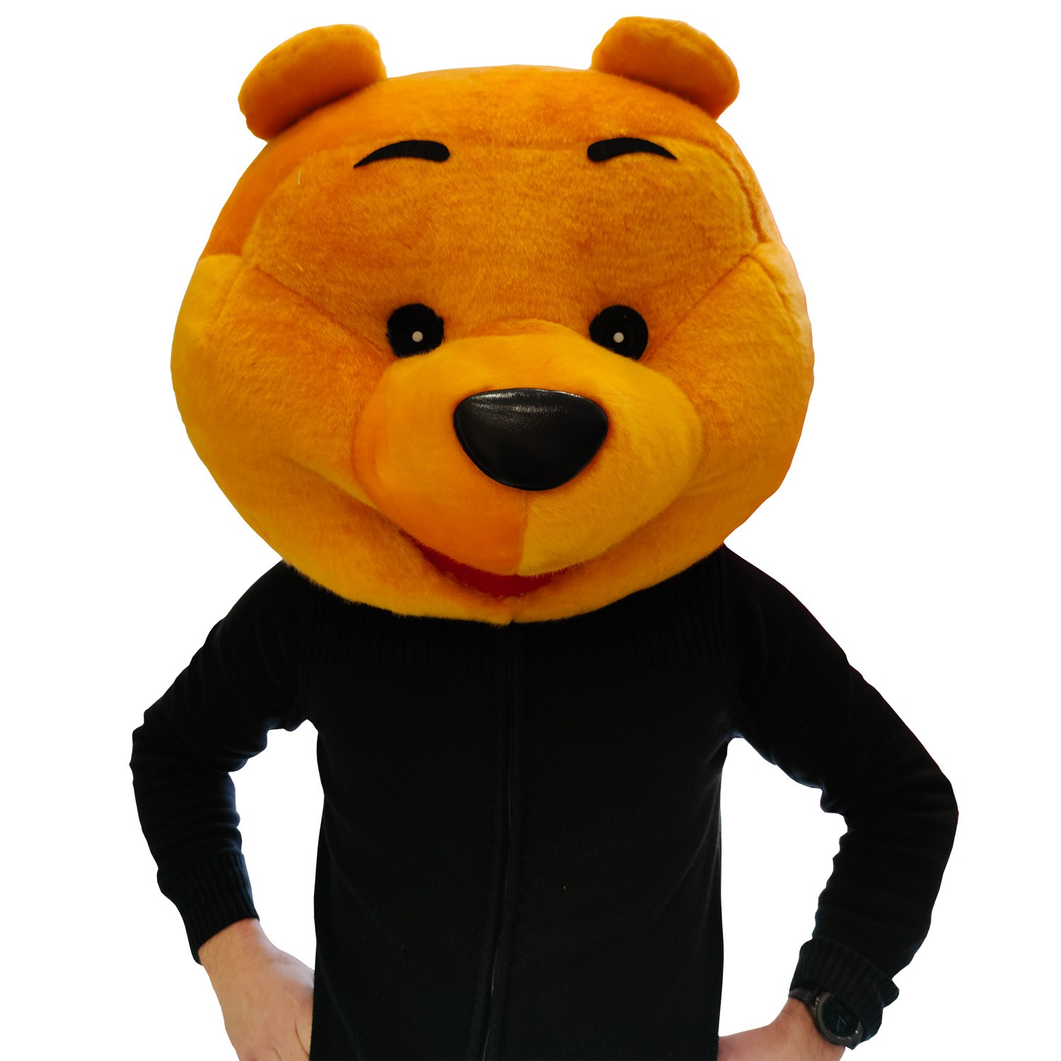 Costume d'ours en peluche Tête de mascotte en peluche Masque d