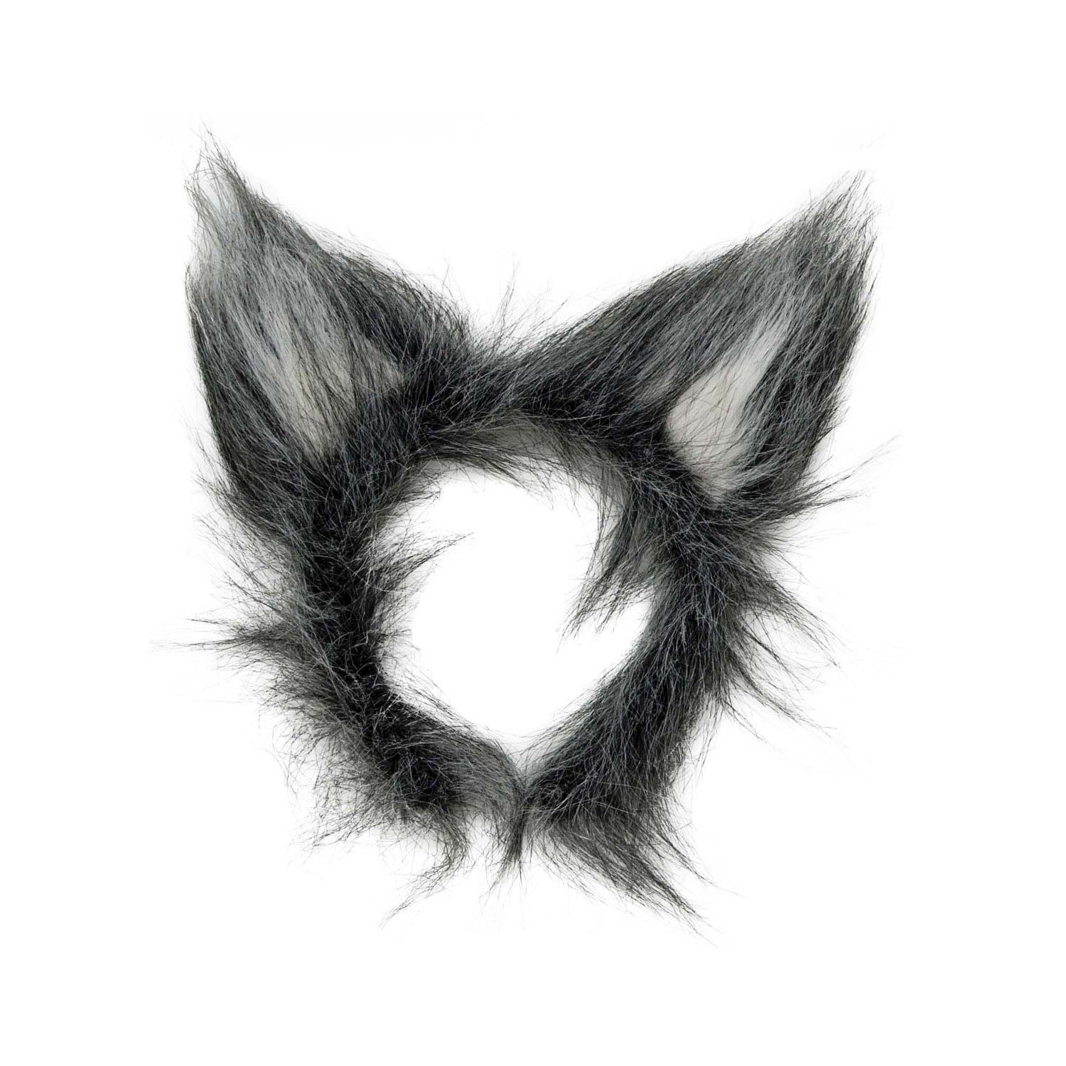 Fauses oreilles de loup gris
