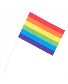 Set de 6 drapeaux LGBT