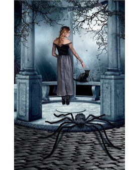 Araignée noire velue géante 125 cm