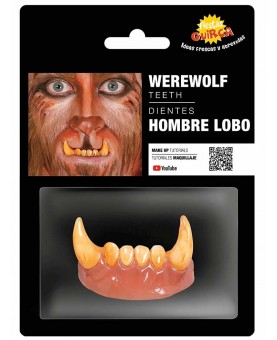 Dents de loup-garou adulte