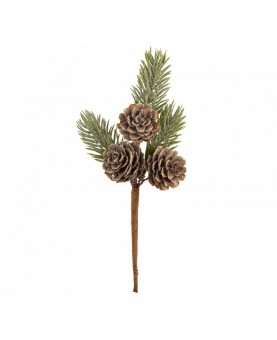 Branche de sapin avec pomme de pin