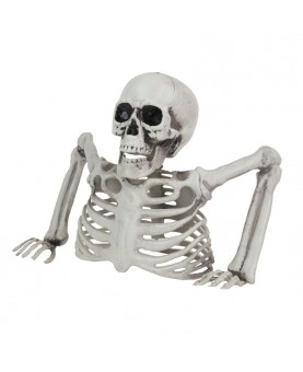 Squelette mort vivant