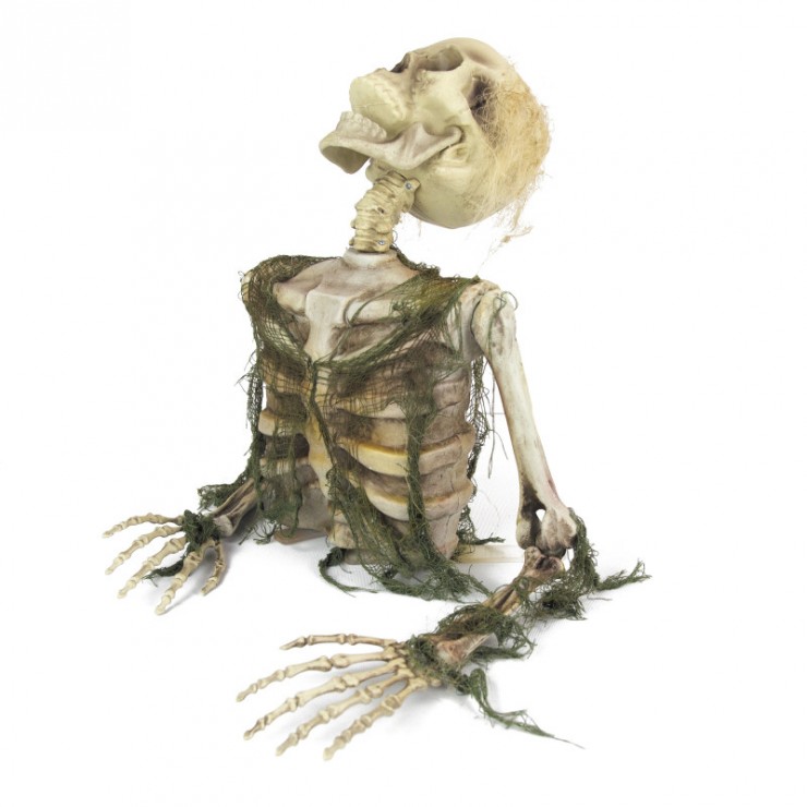Squelette zombie 47 cm