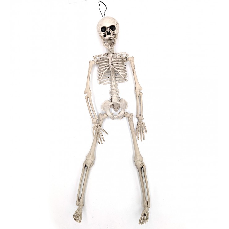 Squelette à suspendre 40 cm