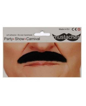 Moustache dupont noire grisonnante