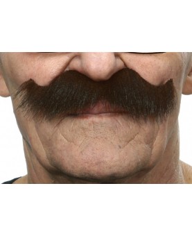 Moustache guillaume II brune