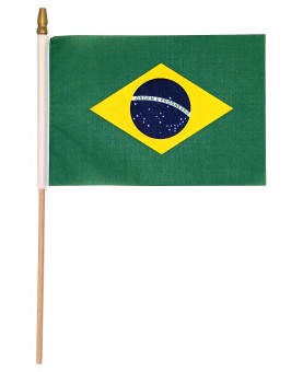 Drapeau du Brésil 14 x 21 cm