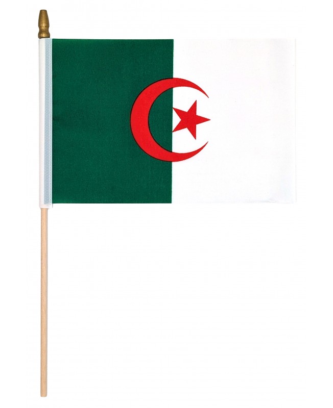 Drapeau de l'Algérie 14 x 21 cm