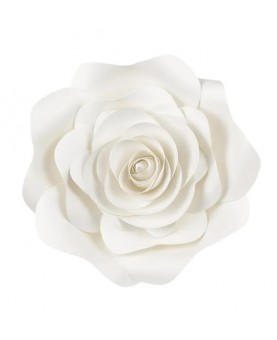 Kit fleurs blanc crème