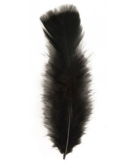 50 plumes noires 10 cm