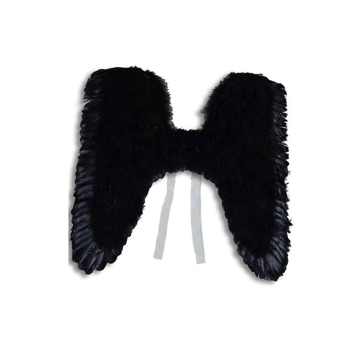 Ailes noires