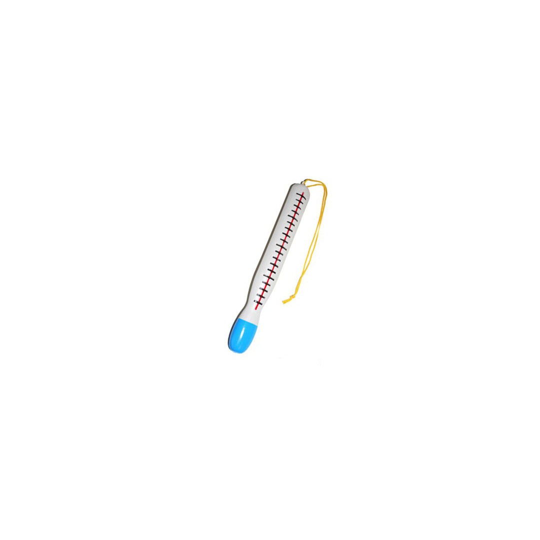 thermomètre 30 cm
