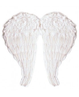 Maxi ailes d'ange