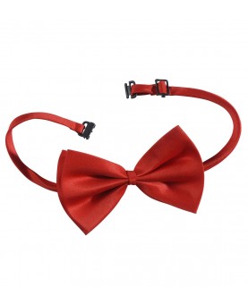 Noeud papillon rouge luxe